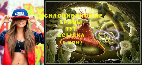 герыч Новокубанск