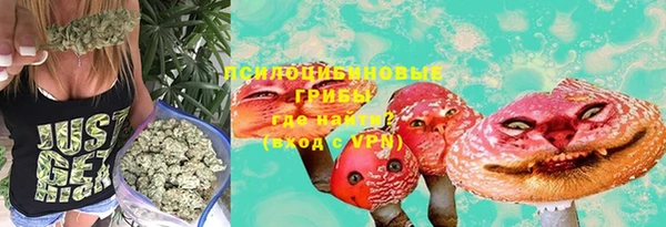 a pvp Алексин