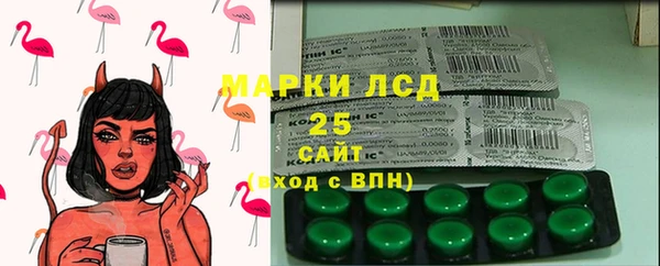 молекула духа Новозыбков